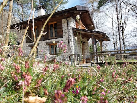 baita  filadonna cin it022236c224me96ag