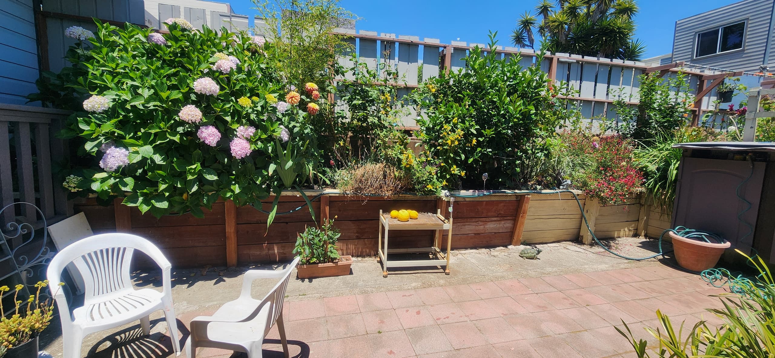 Home in San Francisco · ★4.86 · 1 bedroom · 3 beds · 1 bath - Image 40