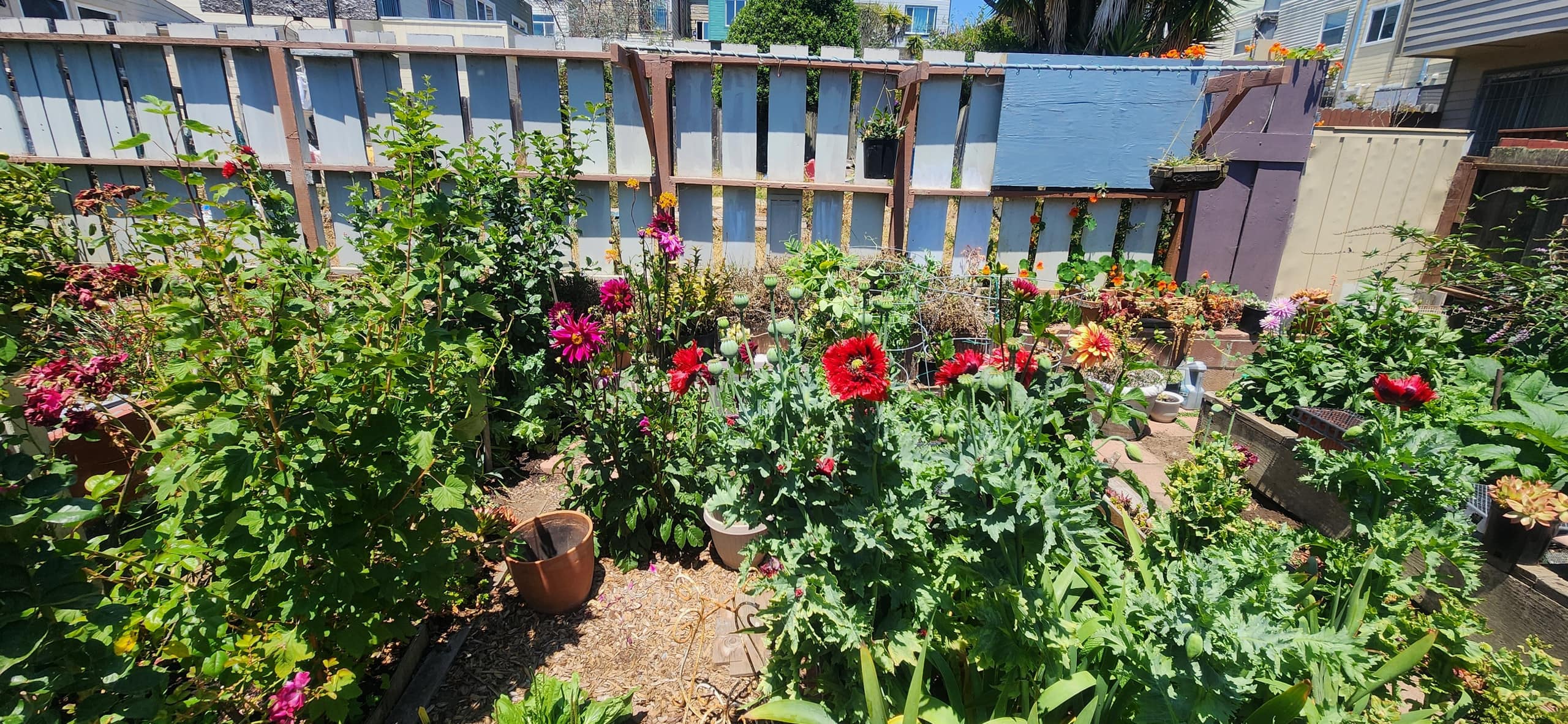 Home in San Francisco · ★4.86 · 1 bedroom · 3 beds · 1 bath - Image 39