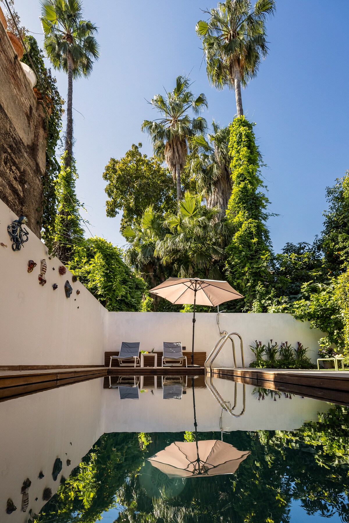A serene outdoor area features a tranquil swimming pool surrounded by lush greenery and tall palm trees. Comfortable lounge chairs are positioned near a large umbrella, providing shade. The pool's surface reflects the clear blue sky and vibrant foliage, enhancing the relaxing atmosphere.