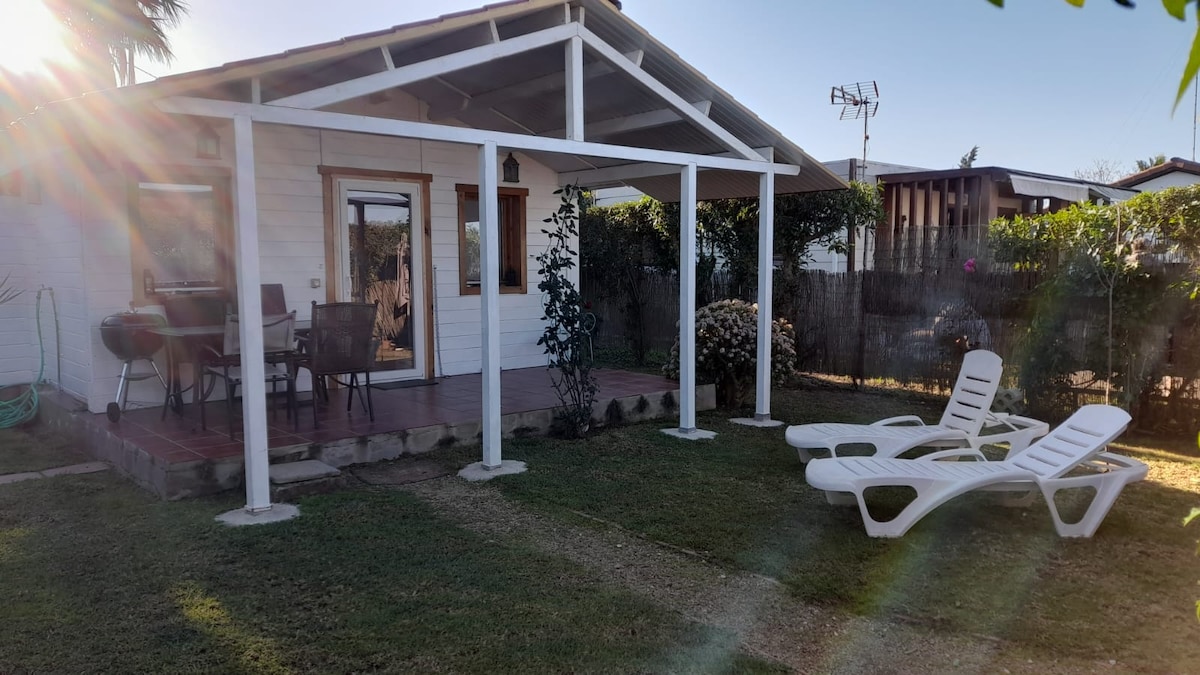 A covered outdoor patio displays a seating area with a table and four chairs, adjacent to a small landscaped garden. Two lounge chairs are positioned on the grass, inviting relaxation. Sunlight filters through, creating a bright and open atmosphere.