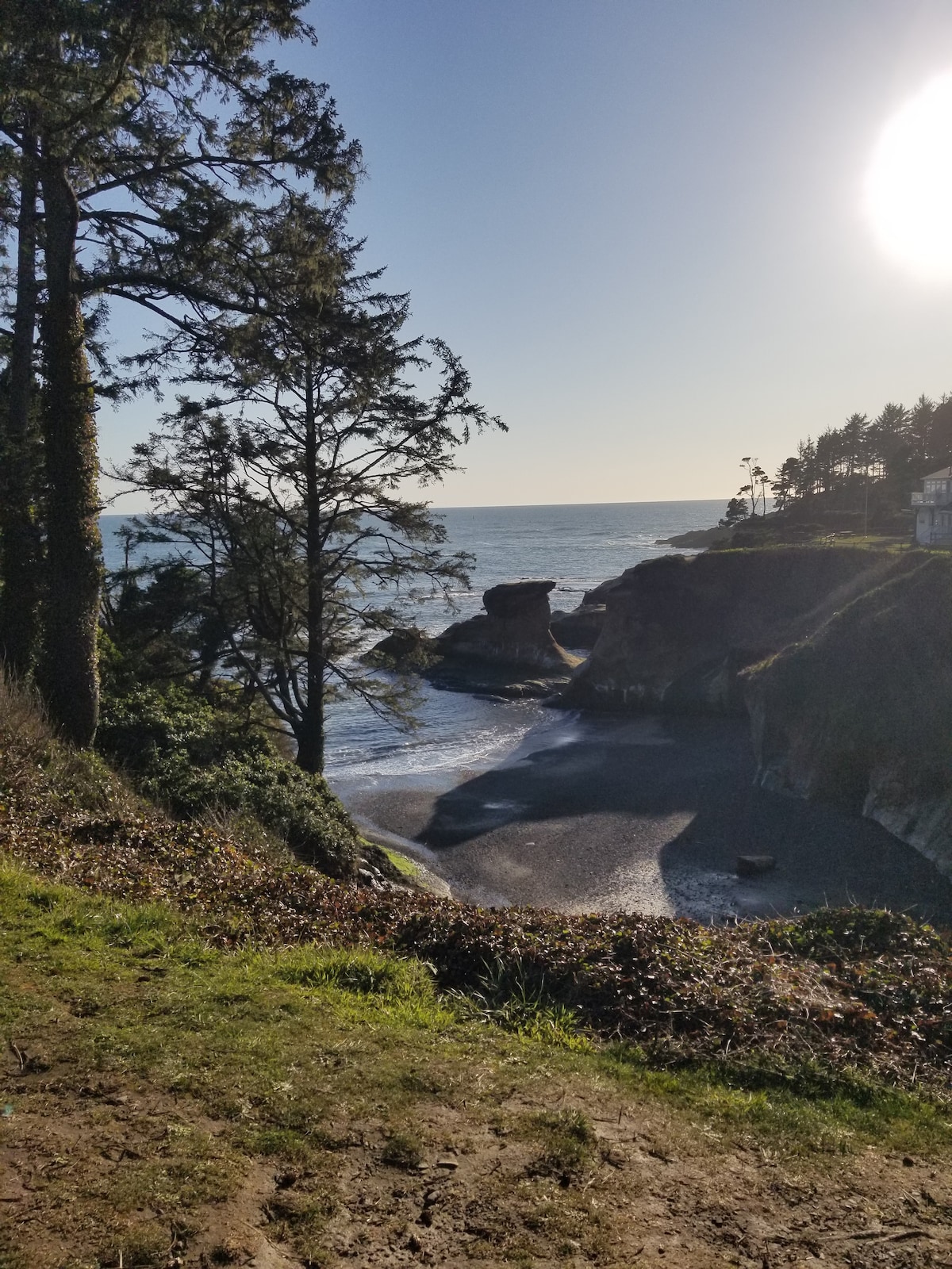 A coastal scene features gentle waves lapping against a rocky shore, framed by tall evergreen trees. The sun casts a warm glow over the landscape, revealing the outline of cliffs and the shimmering ocean. A tranquil atmosphere is created by the natural beauty of the surroundings.