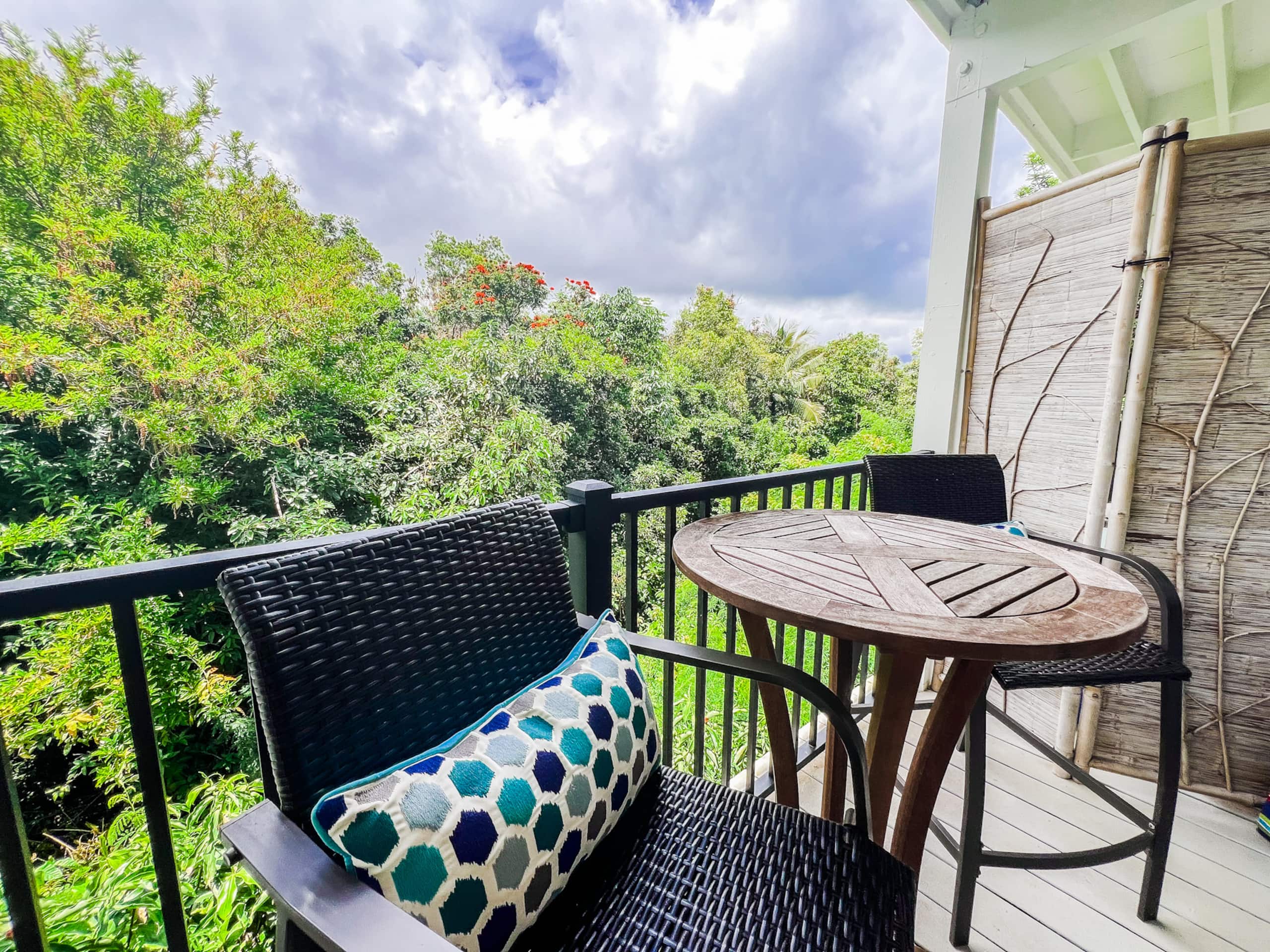 Condo in Princeville · ★4.9 · 1 bedroom · 1 bed · 1 private bath - Image 14