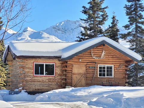 Pet friendly Polaris cabin in mountains with view