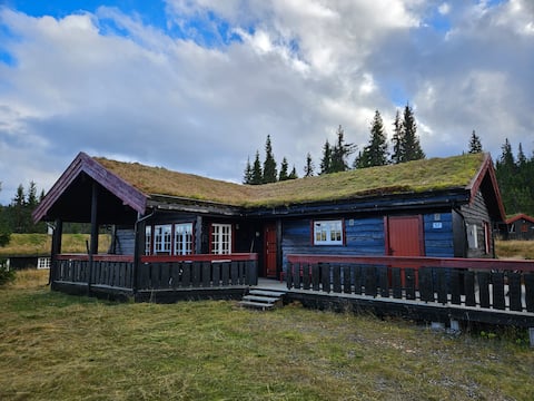 Skeistølen, Skeikampen