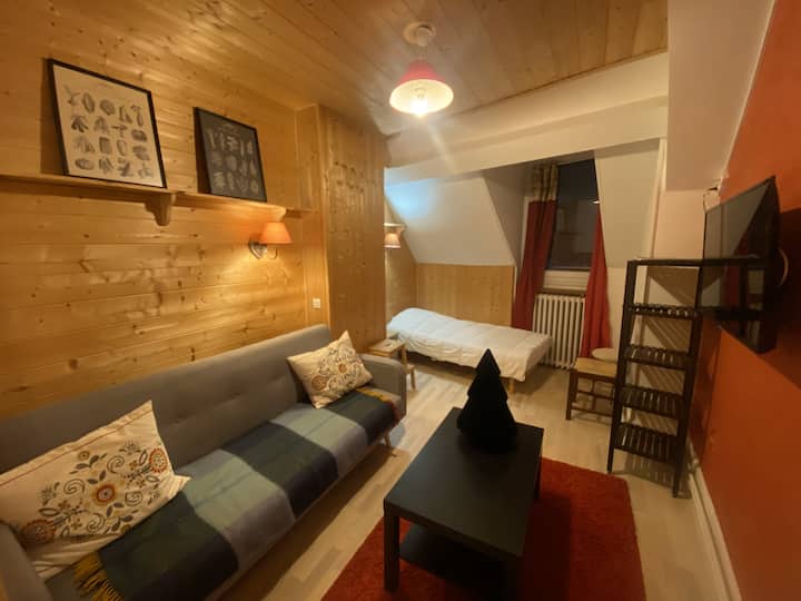 Mont-dore | Les Voyageurs | 4 Personnes - Puy de Sancy