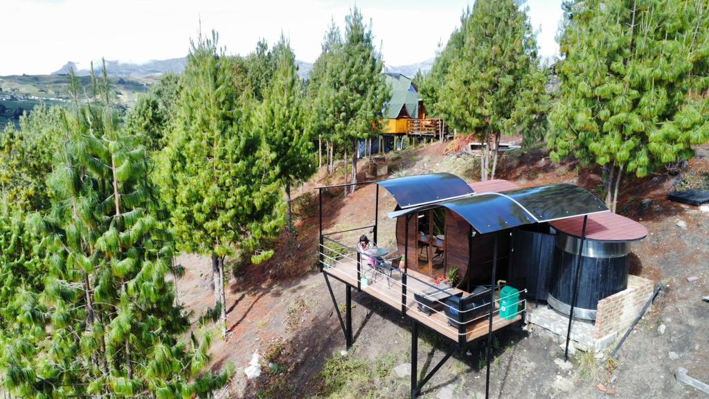 A glamping barrel structure is nestled among tall pine trees, featuring a balcony with seating. The surrounding landscape showcases lush greenery and distant hills, embodying a natural setting. The structure's roof is partially curved, enhancing its unique design.