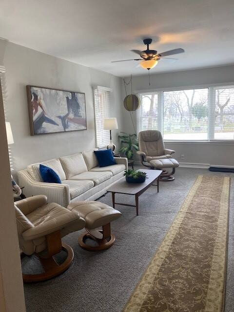 3 bedroom home extra clean & comfy with parking