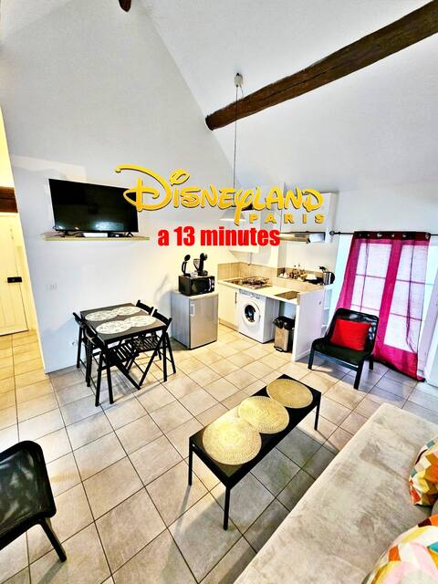 13 minutes Disneyland*parking* self check-in