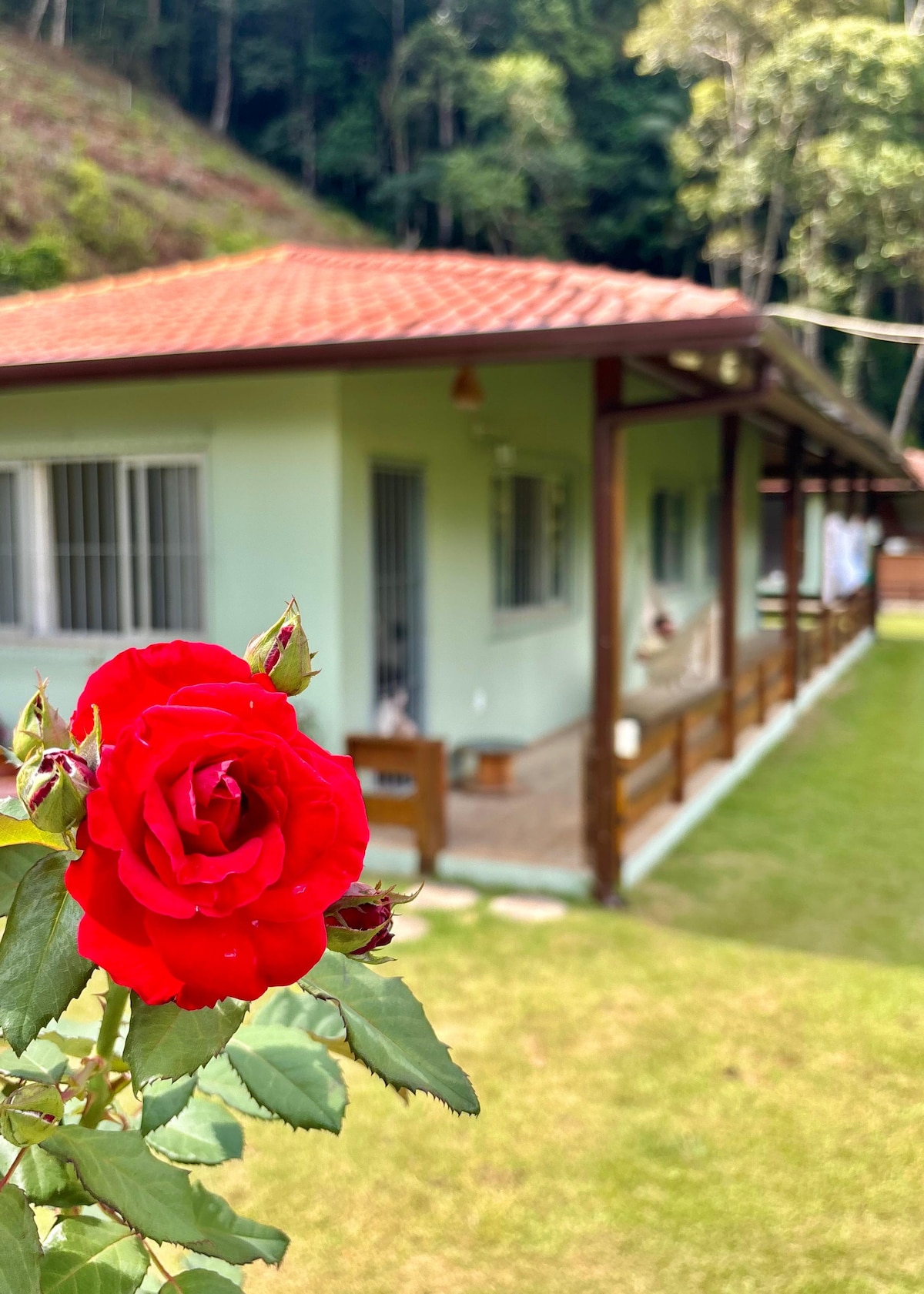 A vibrant red rose is prominently displayed in the foreground, while a light green house is visible in the background. The house features a red-tiled roof, large windows, and a covered porch area. Lush greenery surrounds the property.