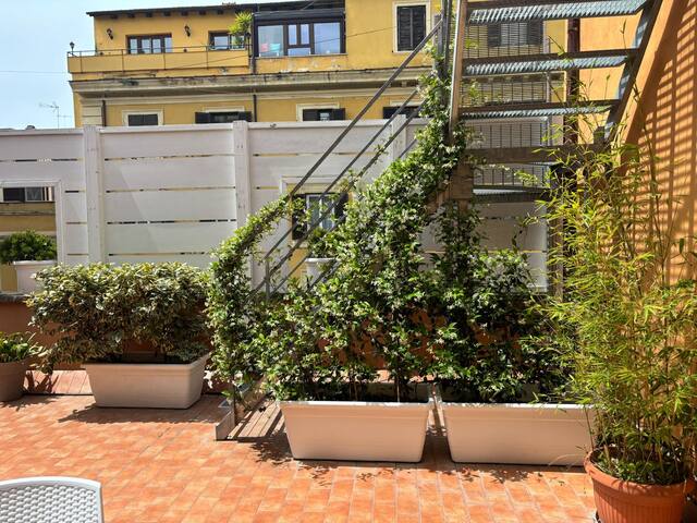 Rooftop St. Peter gallery image 2