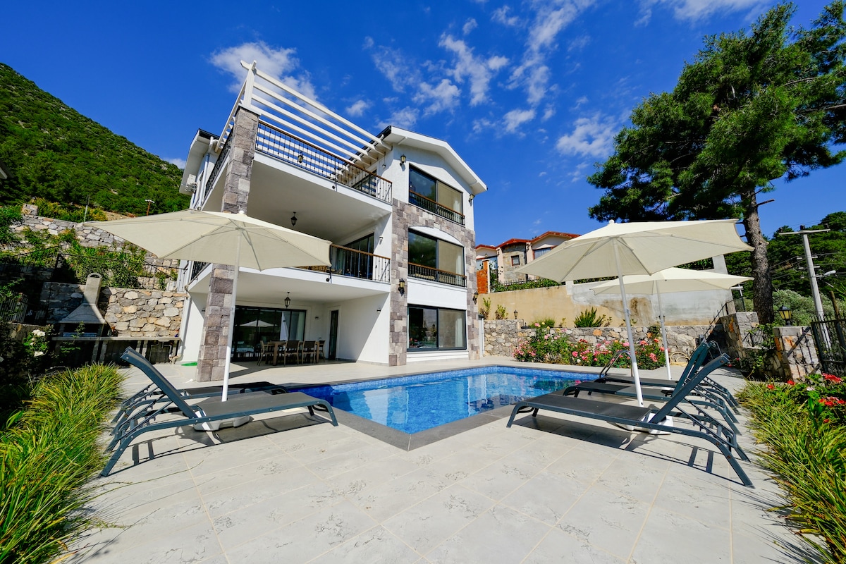 A modern villa is presented with a private swimming pool surrounded by sun loungers and parasols. The two-story structure features large windows and a balcony that overlooks the landscaped garden. Lush greenery and stone pathways enhance the outdoor setting.