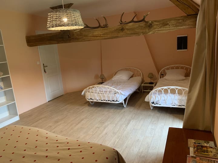 Chambre Forêt (2 Adul., 2 Enfants Moins De 13 Ans) - Aubigny-sur-Nère