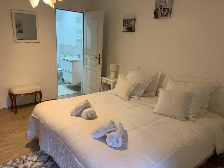 Les Gauterets - 3 Chambres - Aubigny-sur-Nère