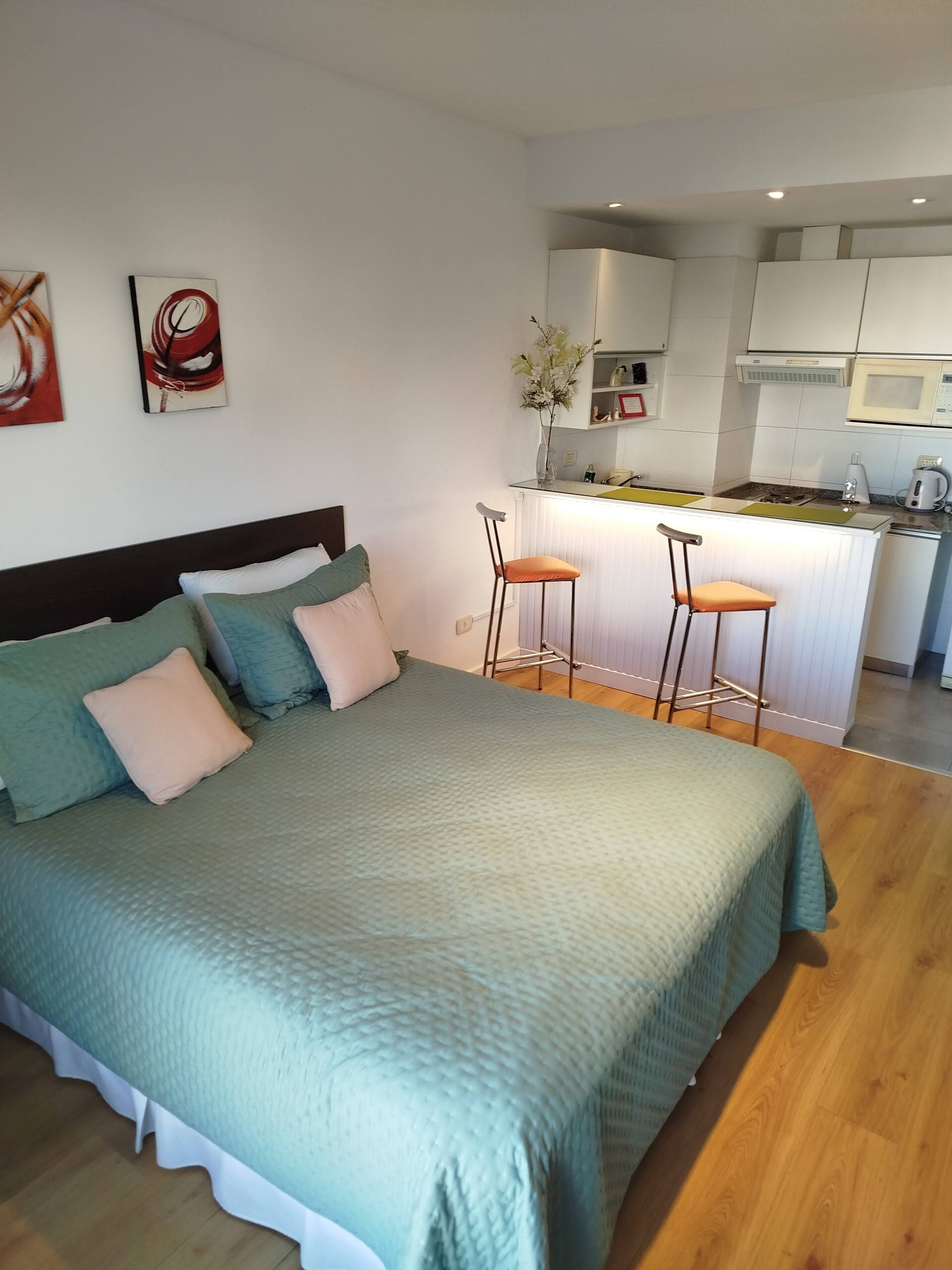 Beautiful and bright apartment in Abasto