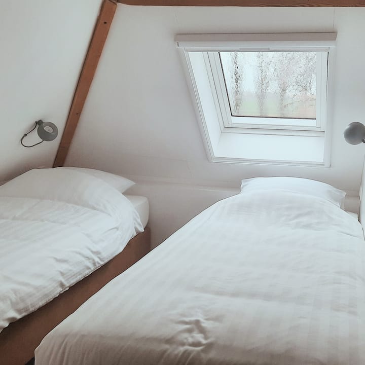 Chambre 5