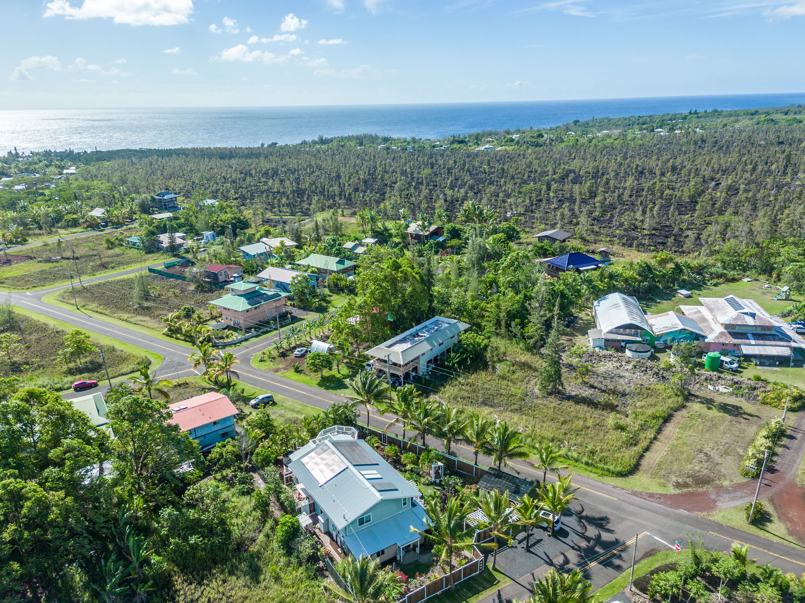Pahoa Paradise Palms - Photo 48