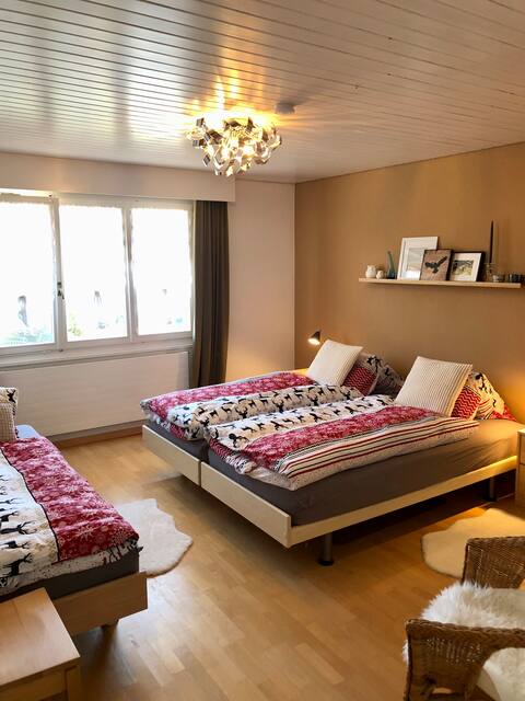 Zulg vacation home – ideal for groups & families