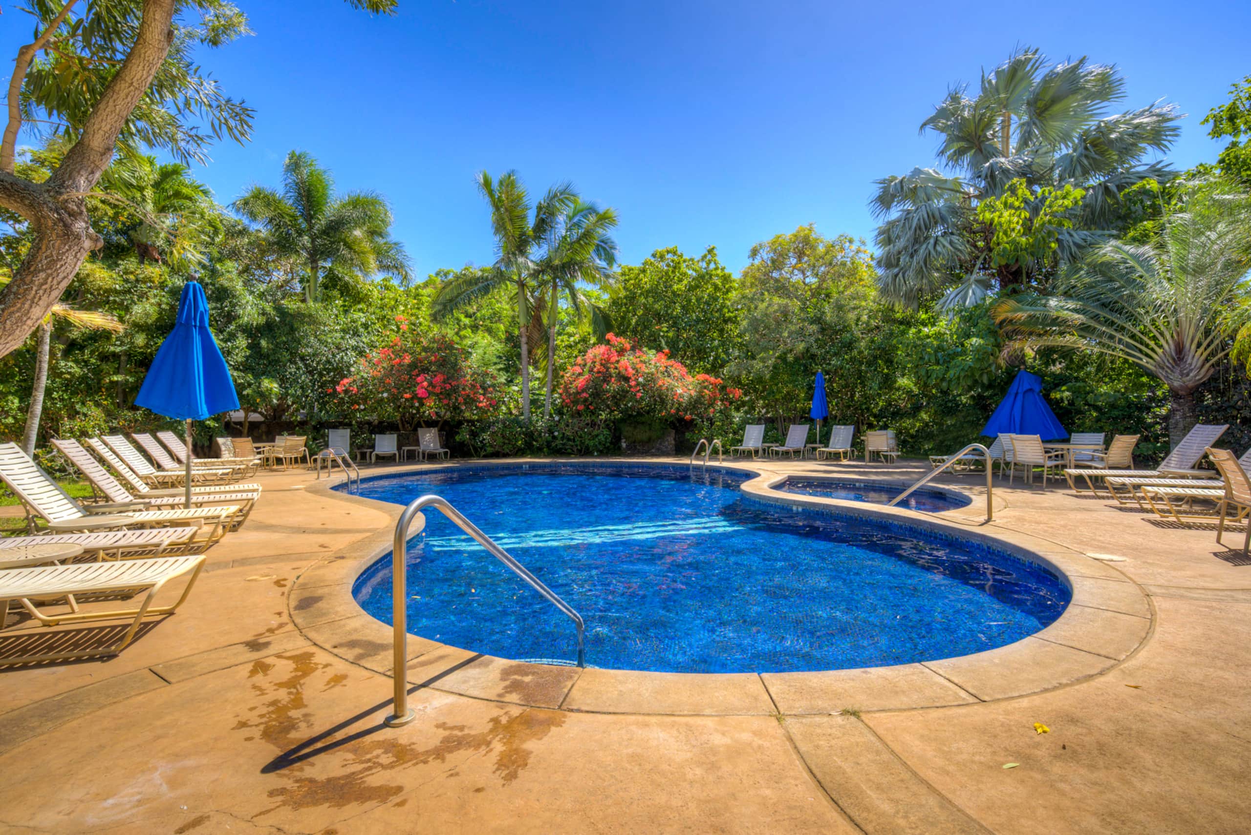 Condo in Koloa · ★4.84 · 1 bedroom · 2 beds · 1 private bath - Image 33