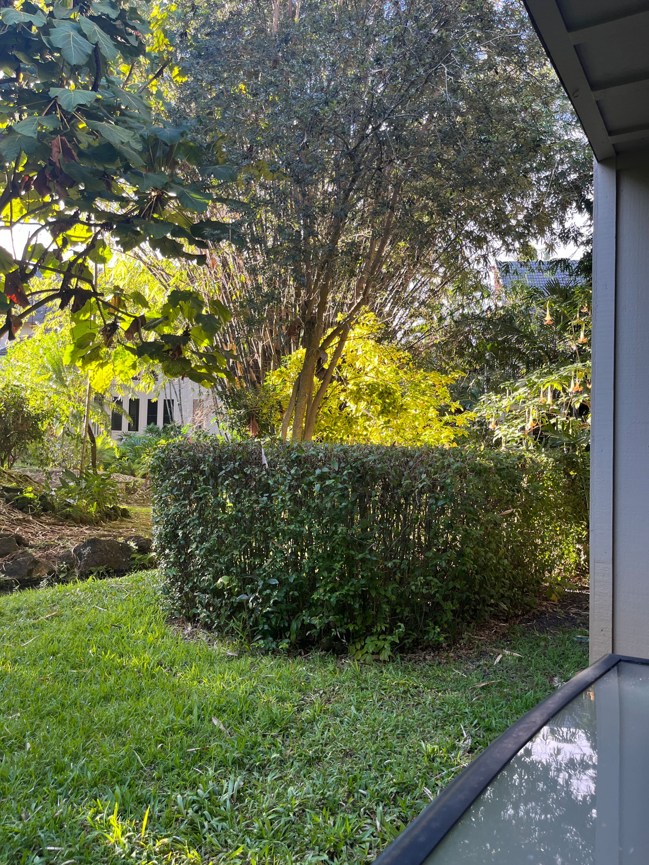 Condo in Koloa · ★4.84 · 1 bedroom · 2 beds · 1 private bath - Image 23