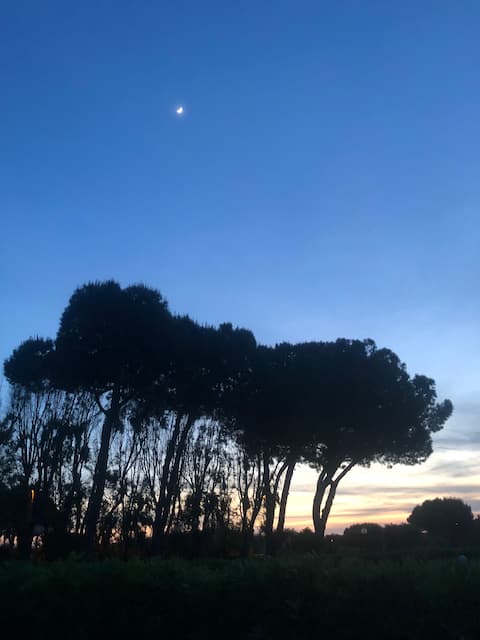 La Cicala Felice: 100 meters from the sea.
