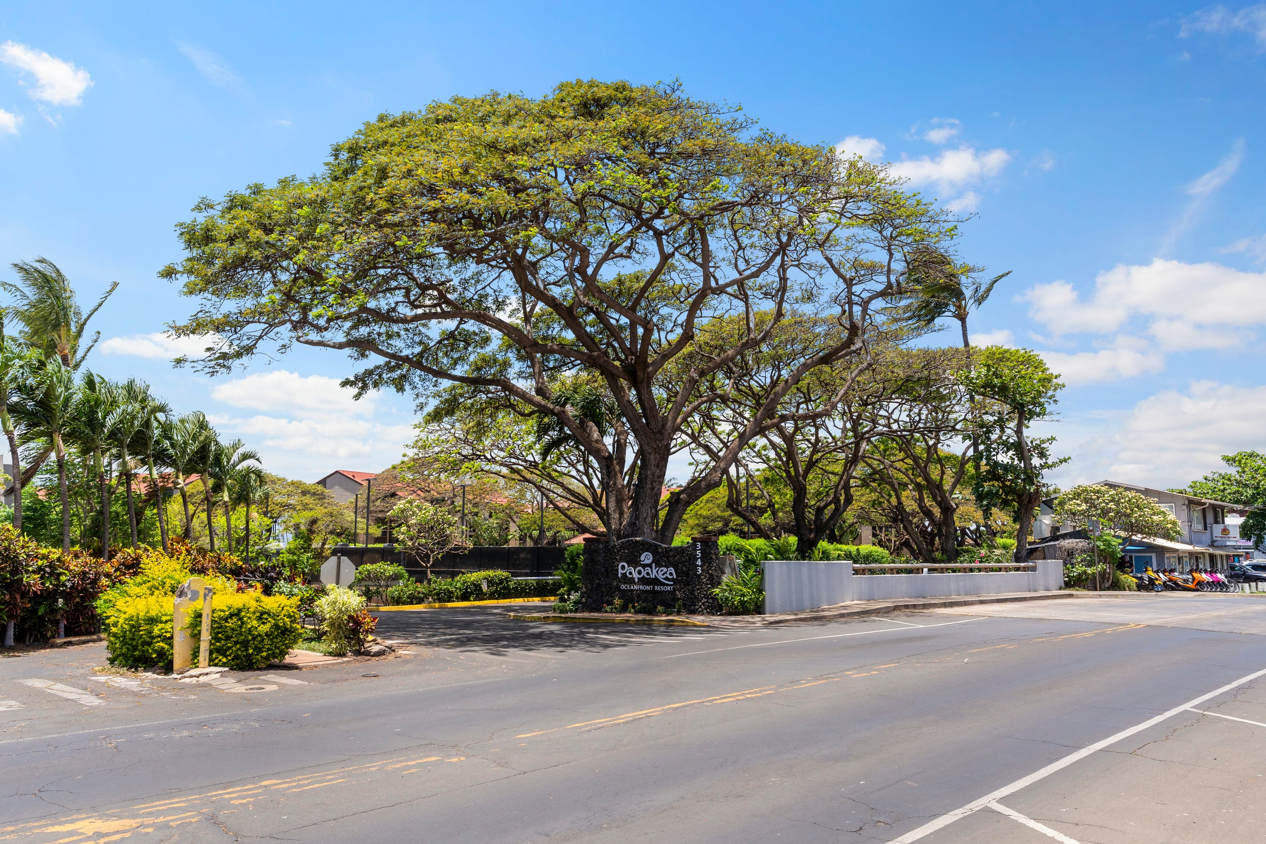 Condo in Lahaina · ★4.88 · 3 bedrooms · 5 beds · 2 baths - Image 47