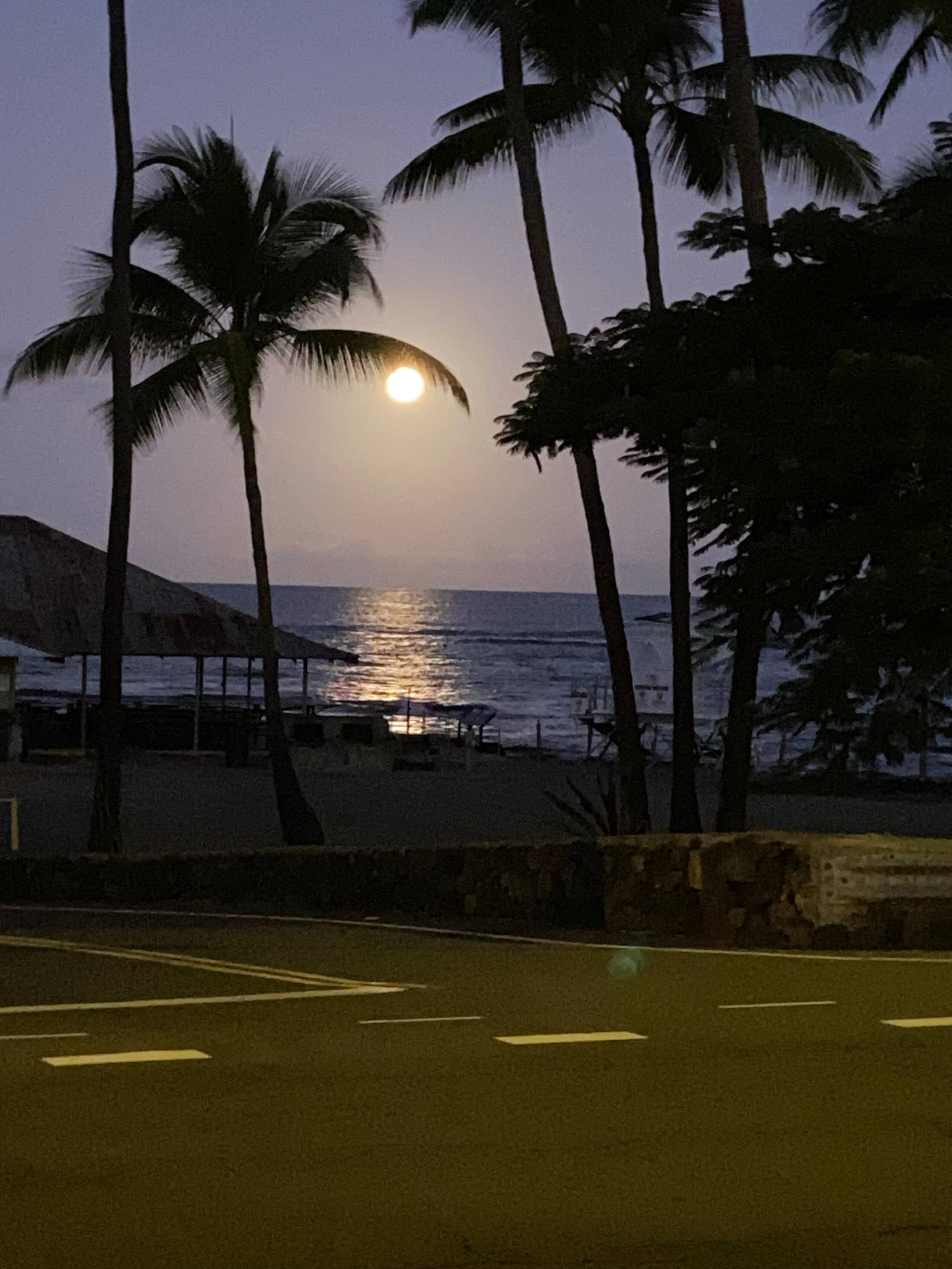 Condo in Kailua-Kona · ★4.88 · 2 bedrooms · 2 beds · 2 private baths - Image 77
