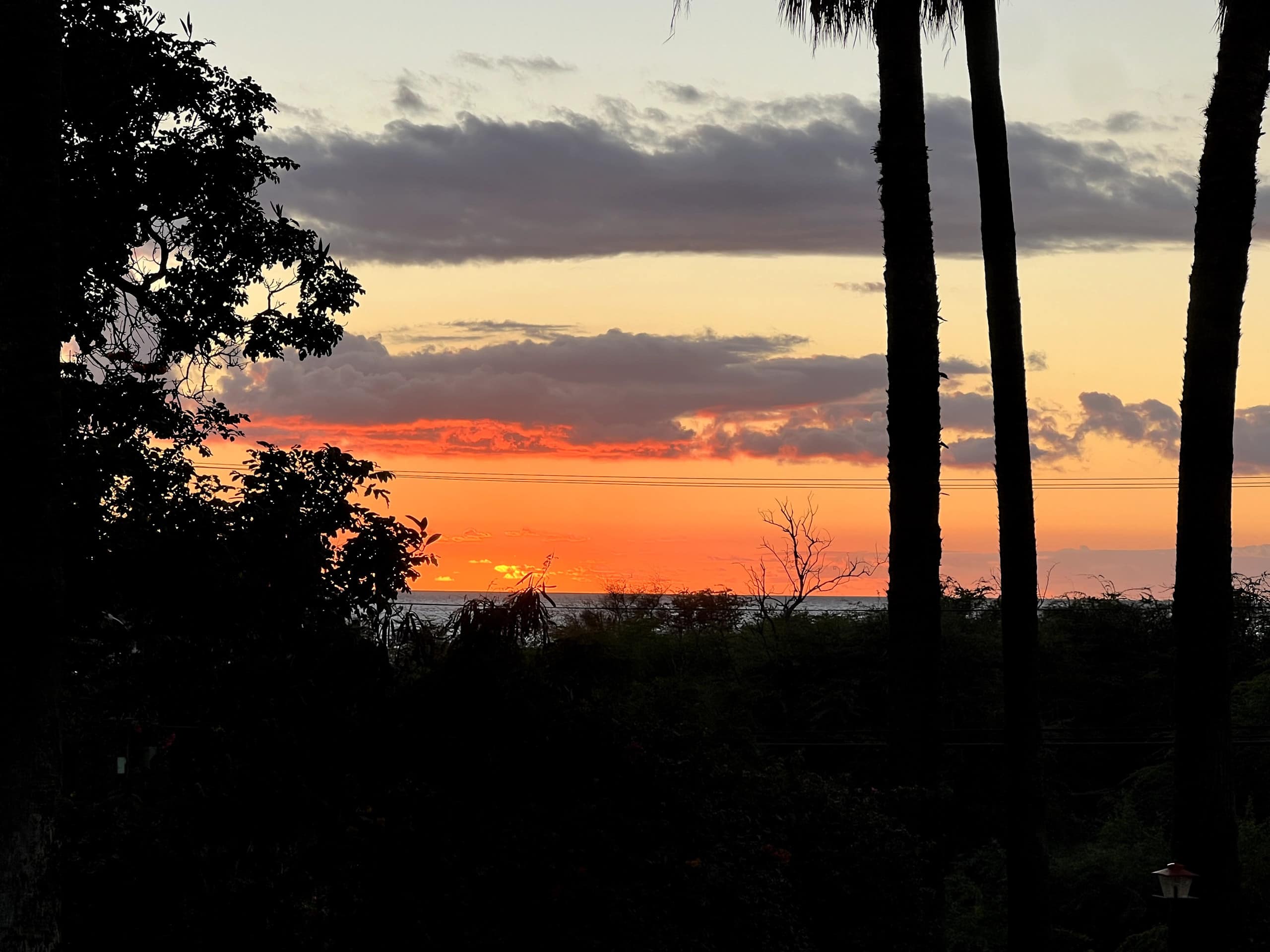 Condo in Kihei · ★5.0 · 2 bedrooms · 3 beds · 1 bath - Image 12