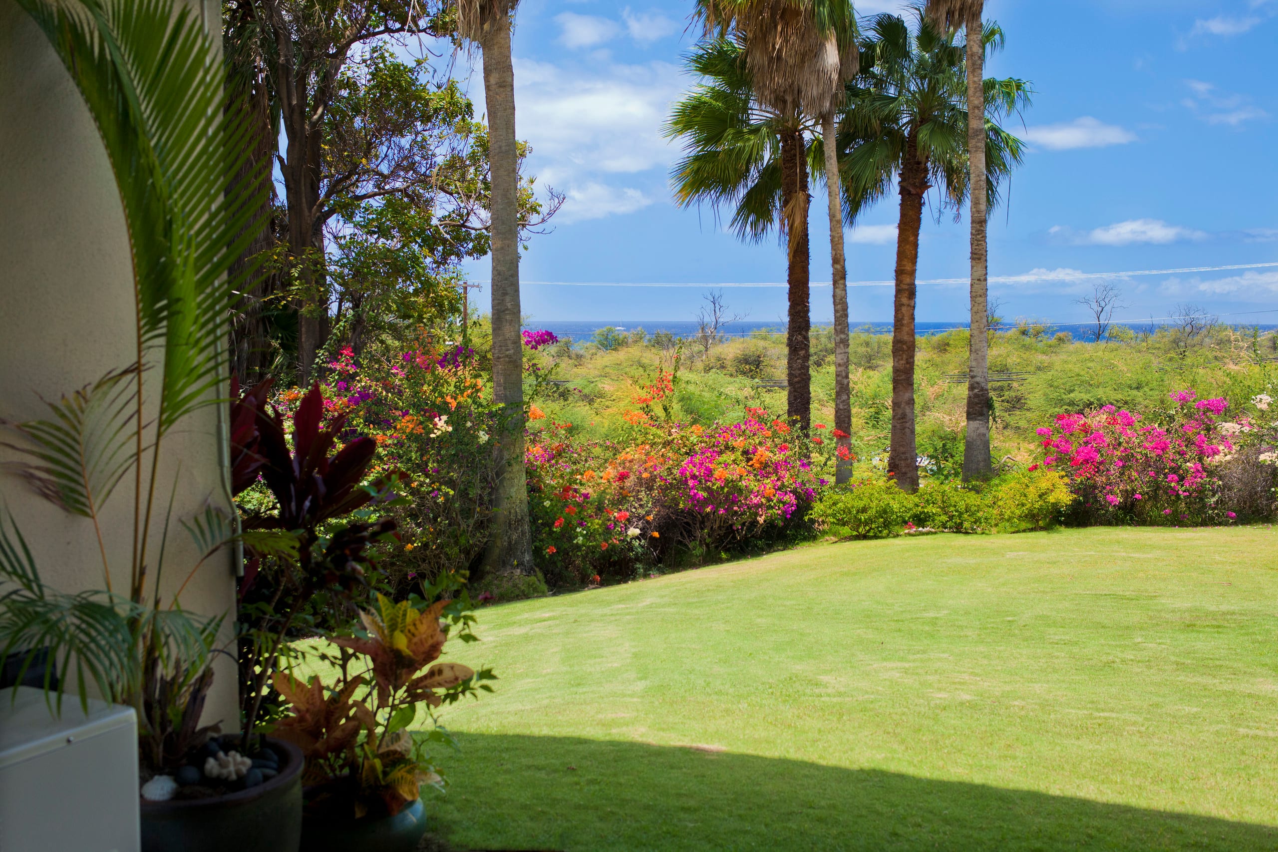 Condo in Kihei · ★5.0 · 2 bedrooms · 3 beds · 1 bath - Image 9