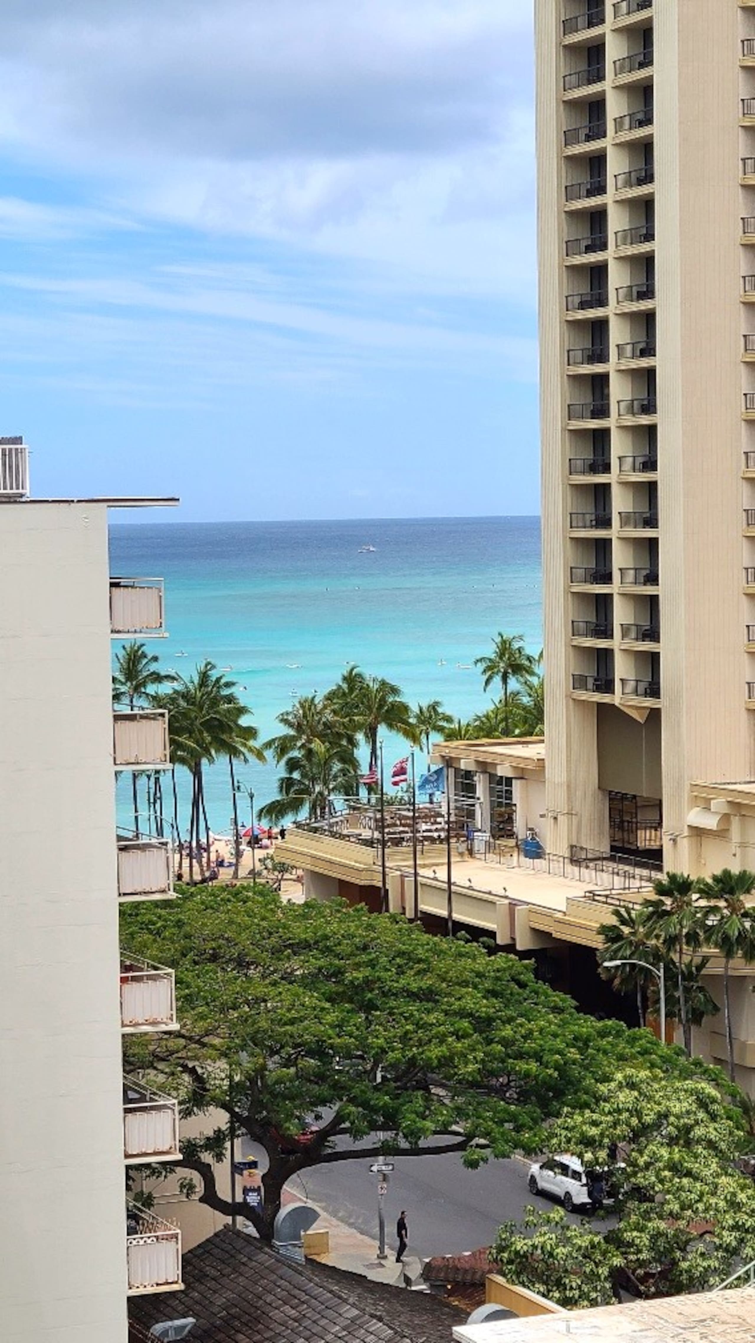 Condo in Honolulu · ★4.79 · Studio · 2 beds · 1 private bath - Image 47