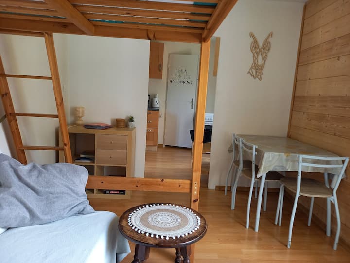 Studio Cosy Aux Portes Des Aravis - La Roche-sur-Foron