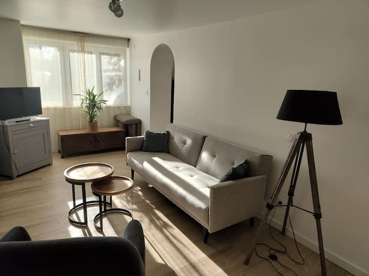 Beau T2(50m2) + Terrasse Plein Sud - Parking Privé - Aix-les-Bains