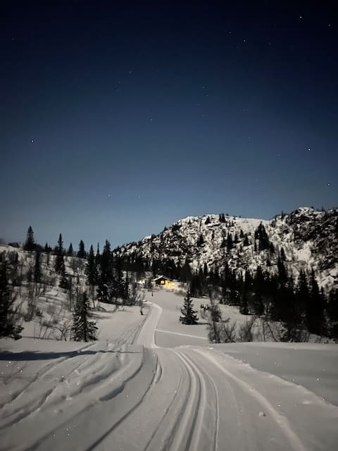 Cabin near Rauland Ski Center!