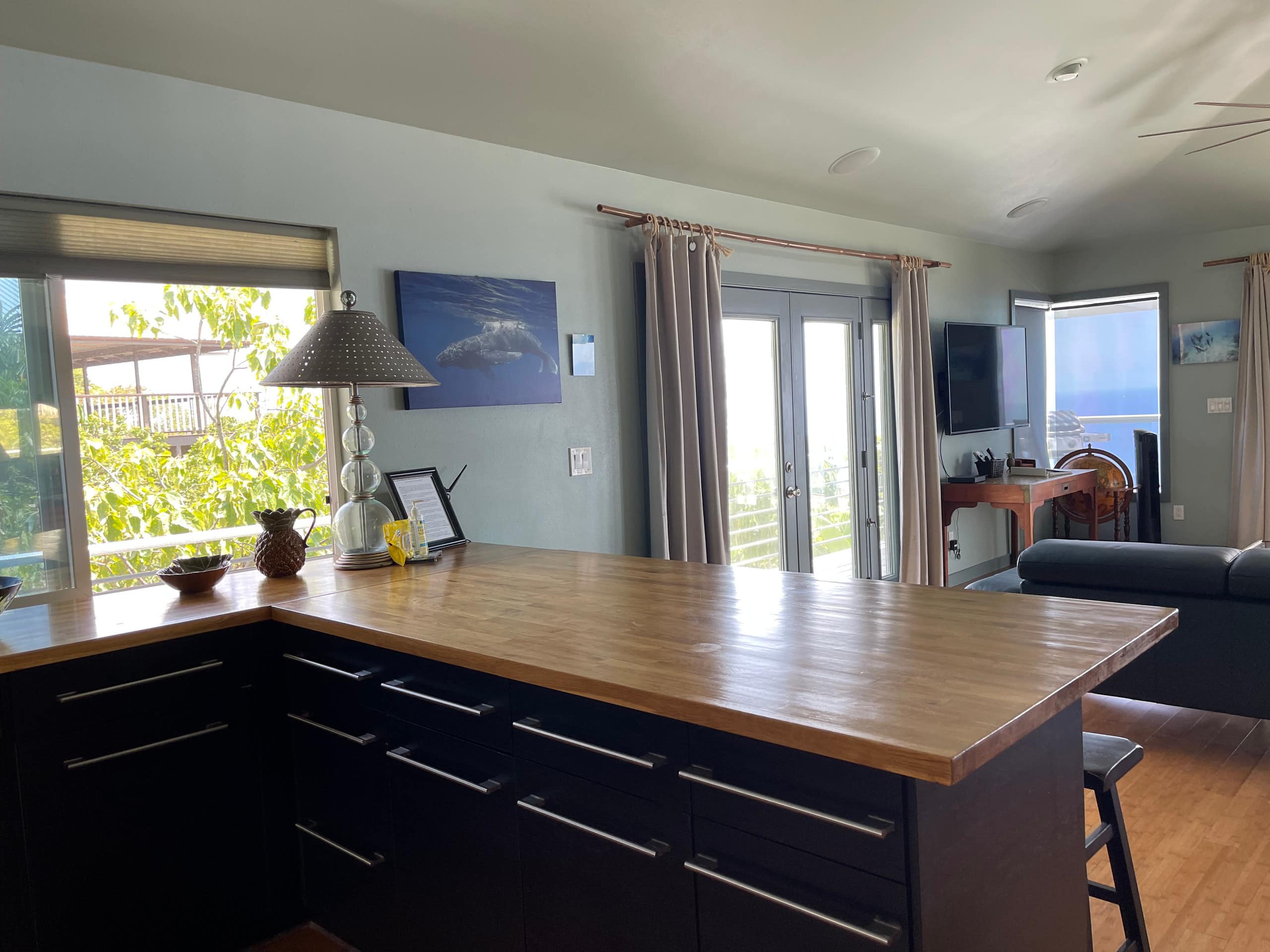 Pineapple Palace~Stunning Ocean Views~Private Pool - Photo 17