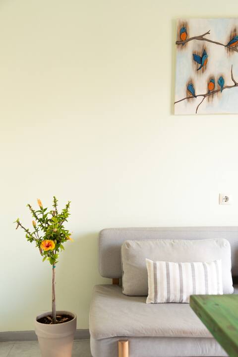 Successful Airbnb property: Nas Mar & Twins "Aristea" in Δήμος Νότιας Κέρκυρας