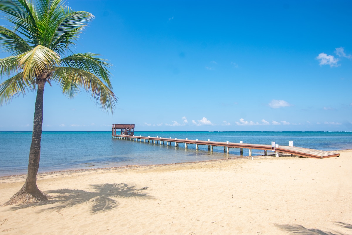 A sandy beach stretches toward a wooden pier that extends over calm waters. A single palm tree casts a shadow on the sand, while a clear blue sky with a few clouds frames the scene. The distant horizon blends seamlessly with the sea.