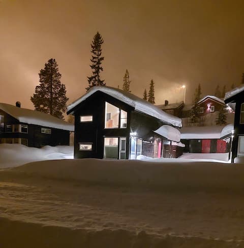 Family cabin by the children's ski lift, ski-in ski-out