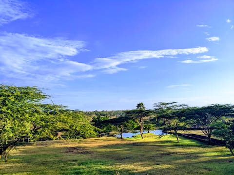 The Hide - Nairobi National Park
