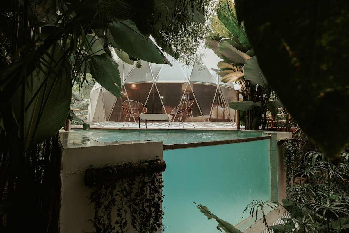 The image showcases a tranquil glass pool adjacent to a geodesic dome, framed by lush tropical foliage. Two lounge chairs are positioned on the deck, providing serene views of the water. The soft lighting enhances the peaceful ambiance of the outdoor space.