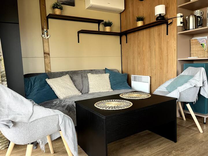 Chalet Bois Climatisé Au Calme, Terrasse & Piscine - La Teste-de-Buch
