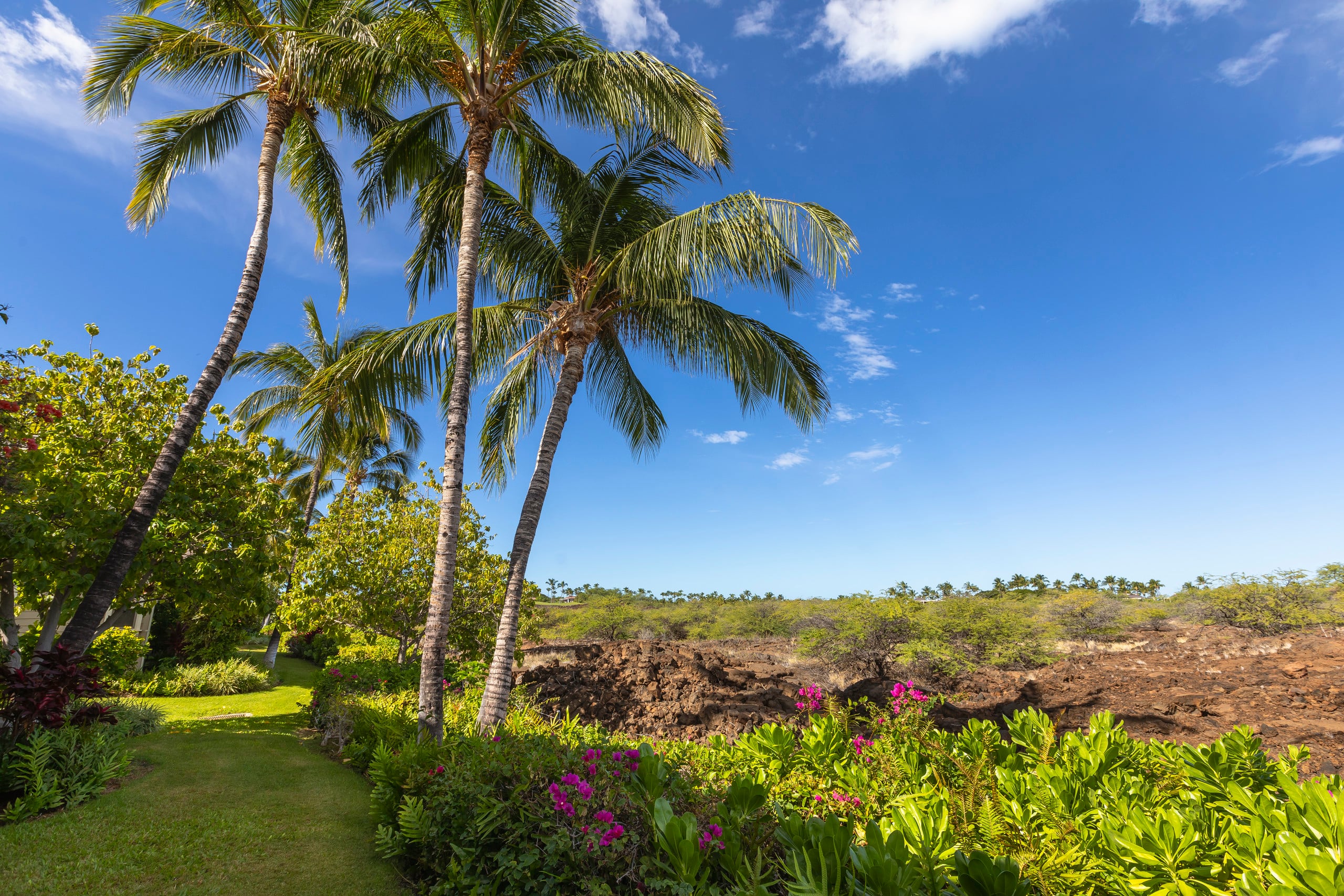 Townhouse in Waimea · ★4.92 · 3 bedrooms · 4 beds · 2 baths - Image 23