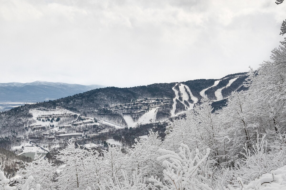 A snowy landscape is shown, featuring rolling hills blanketed in fresh snow. Ski slopes meander down the mountainside, while tree branches are coated in white frost. The scene presents a serene winter wonderland, reflecting the peaceful atmosphere of the area.