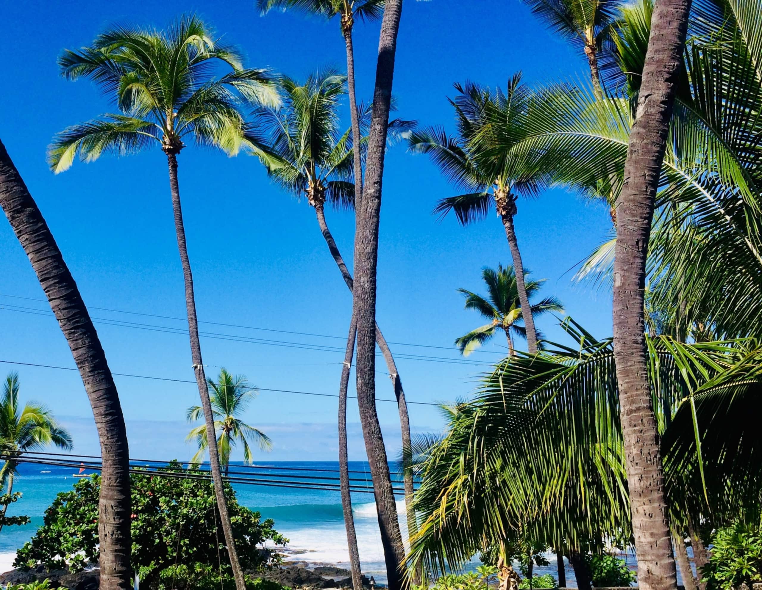 Condo in Kailua-Kona · ★4.88 · Studio · 2 beds · 1 bath - Image 15