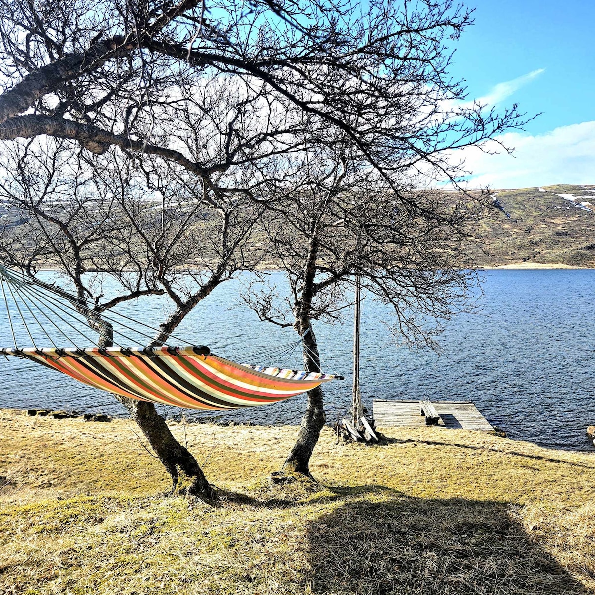 A striped hammock is suspended between two trees, overlooking a clear lake. The calm water reflects the blue sky, and a wooden dock is visible in the background. The grassy area surrounding the trees is lightly textured, with distant hills framing the scene.