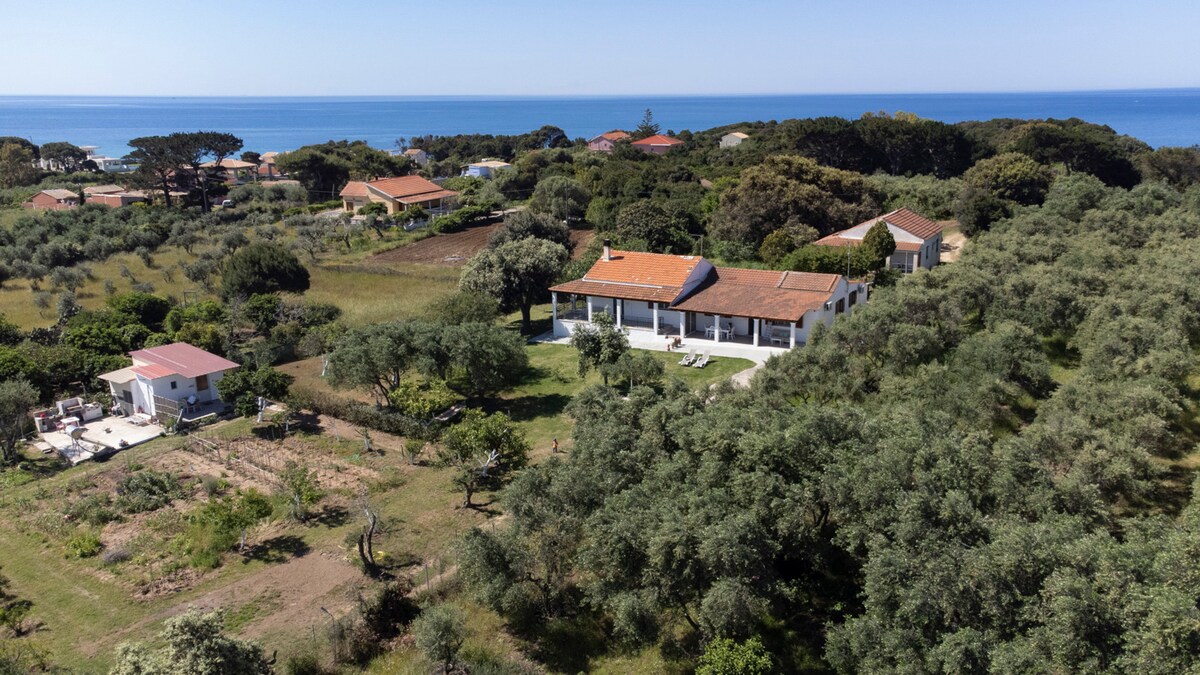 An aerial view shows a spacious vacation home surrounded by lush olive groves, with the tranquil sea visible in the distance. The well-maintained property features a large garden, offering a peaceful retreat just steps away from nature.