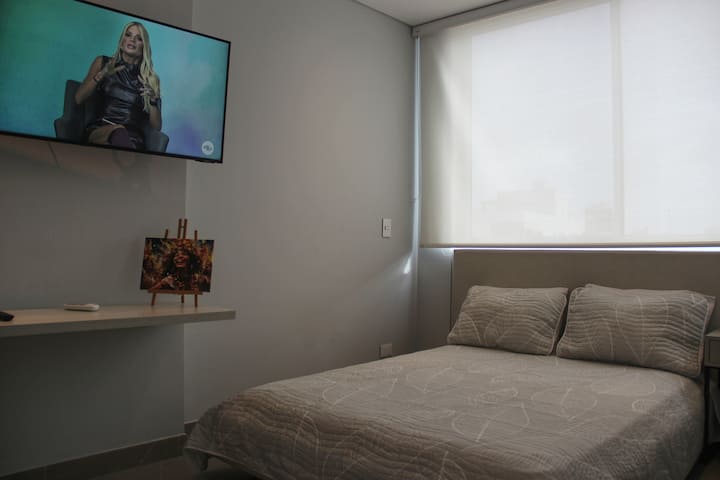 Dhoma #1 me televizor me Netflix dhe Krahu që mund të riorganizohet dhe të drejtohet drejt krevatit. Çaktivizimi + Perde dekorative