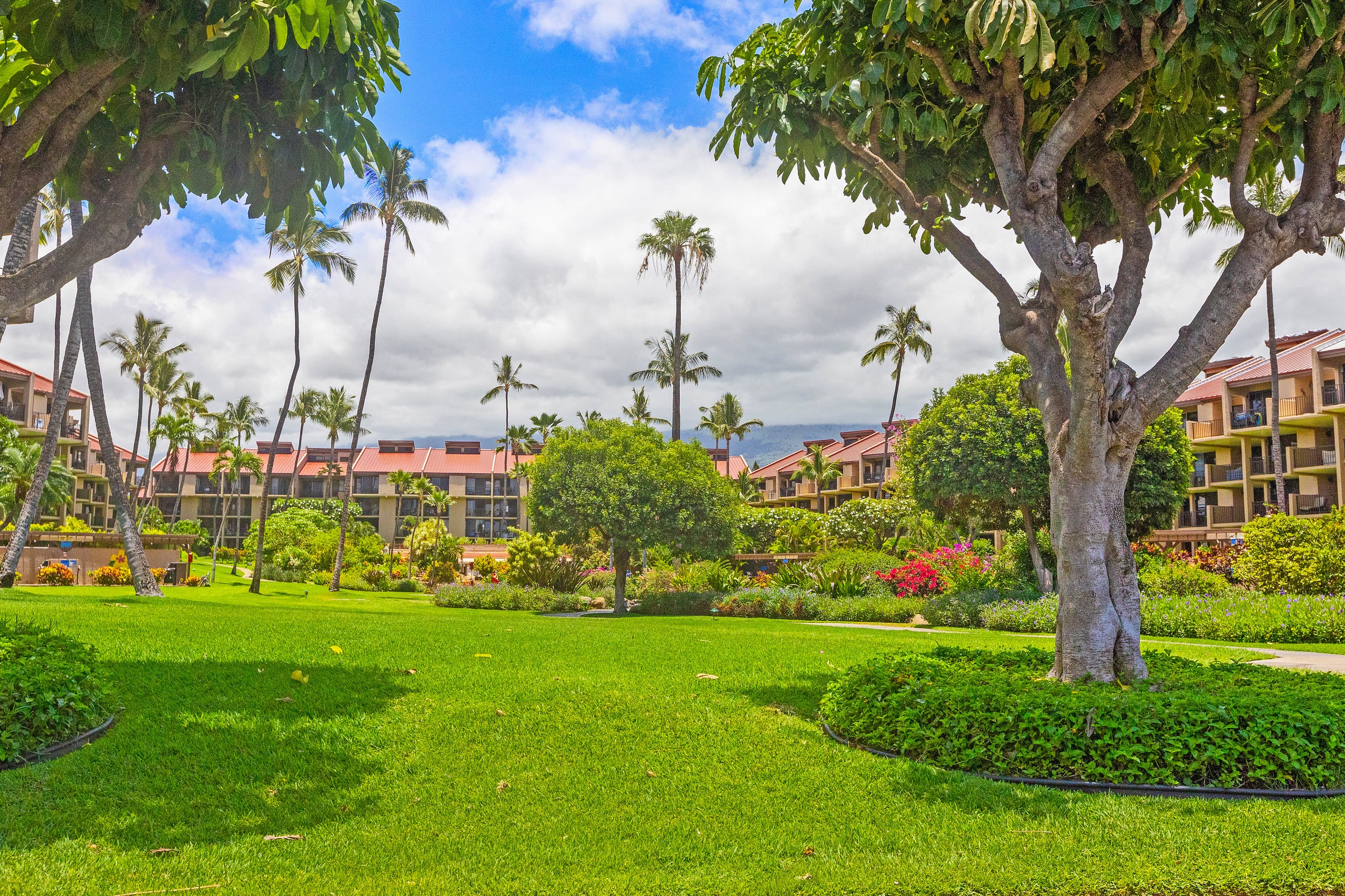 Condo in Kihei · ★4.82 · 2 bedrooms · 3 beds · 2 private baths - Image 44