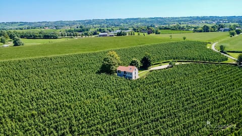Le Clos du Verger - Entire house surrounded by nature