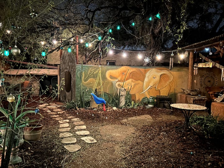 Charming 1 Bedroom Near Downtown (Must Like Cats!) - Tucson, AZ