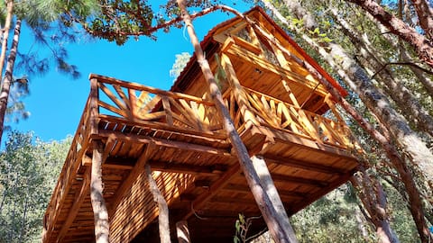 "The Whisper of the Forest" Cabin 4